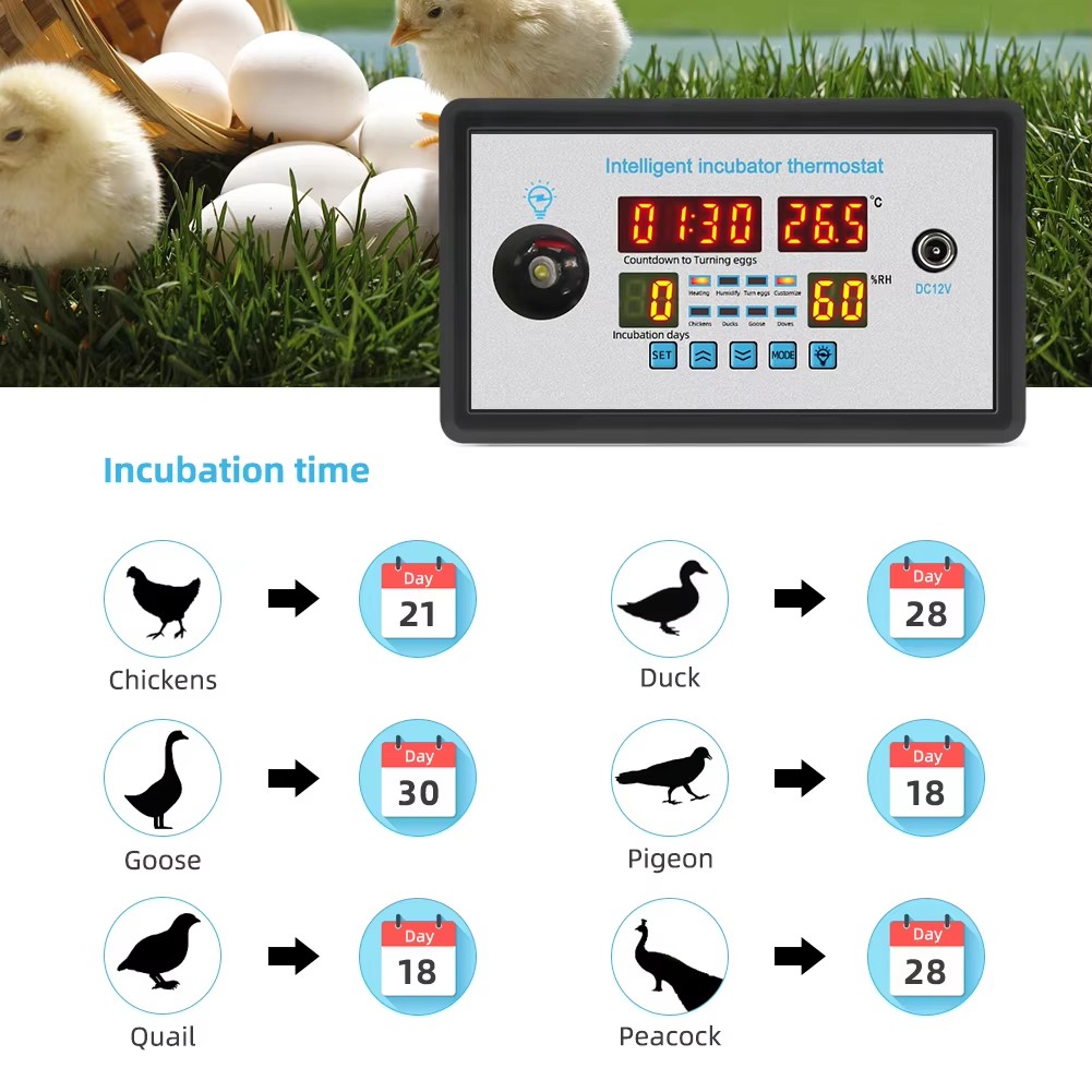 ZFX-W9002 12V/220V Egg Incubat - огляд і ціна Poultry Incubator
