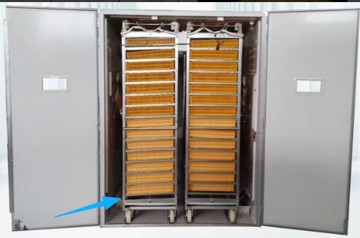 Large 1000 Eggs Incubator Mach - огляд і ціна Poultry Incubator