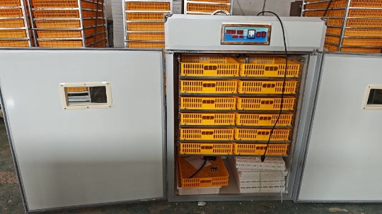 Large 1000 Eggs Incubator Mach - огляд і ціна Poultry Incubator