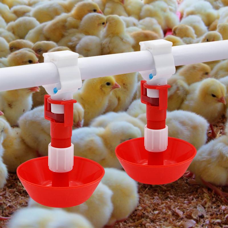5/10/20 Pcs Automatic Chicken  - огляд і ціна Chicken Nipple Drinker