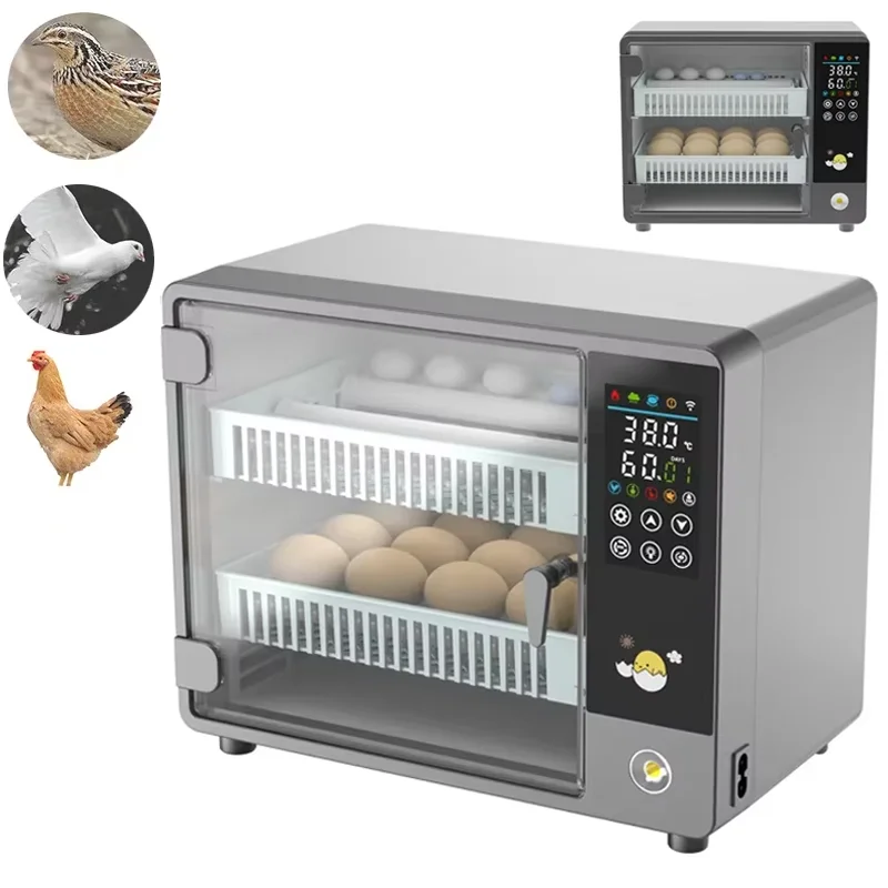 Smart Automatic Egg Incubator  - огляд і ціна Poultry Incubator