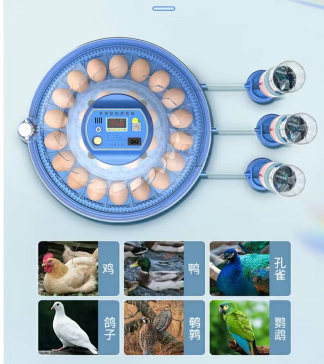 20/24/36/56/96/112 Eggs Chicke - огляд і ціна Poultry Incubator